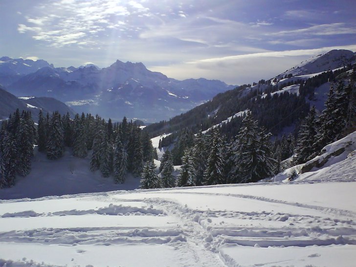 Backcountry riding i Leysin. Foto: Håkan Cervin. Åkare: saknas.