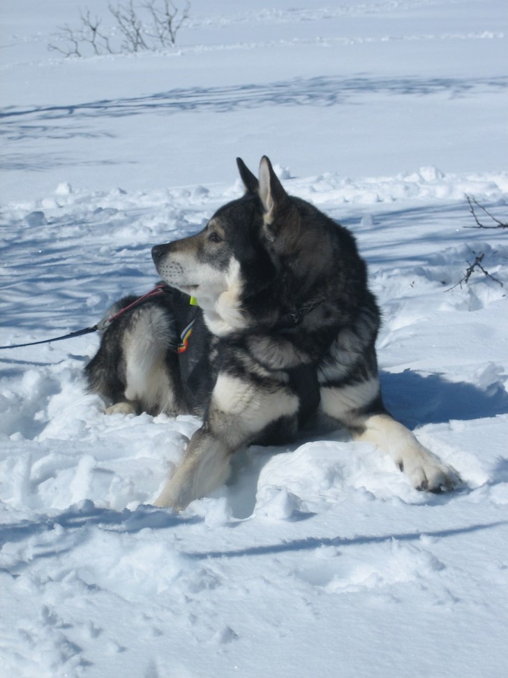 Coola killen. Foto: Rodda. Åkare: Gråe.