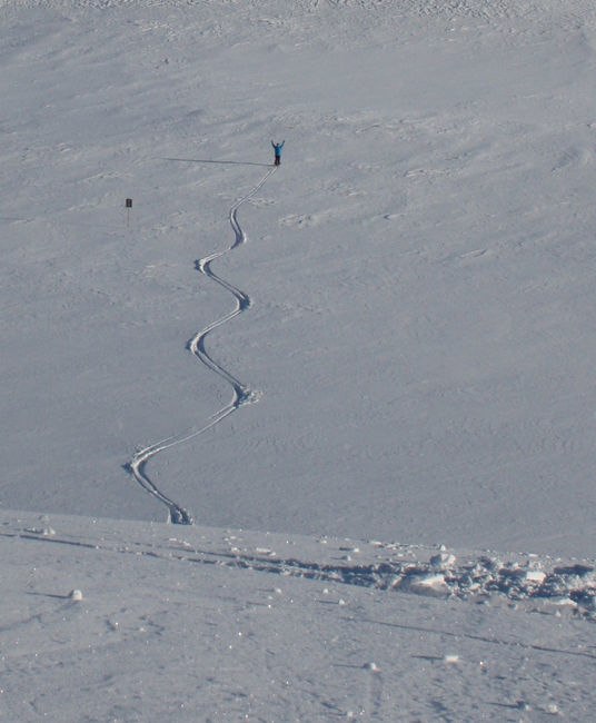 Foto: emma lennholm. Åkare: Linus Zetterlund.
