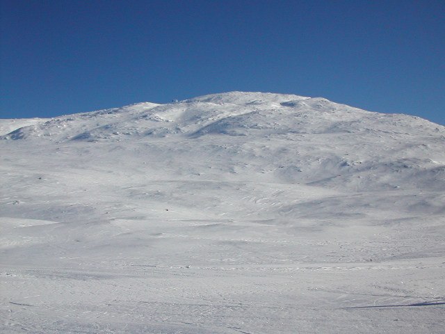 Foto: Adam Höckert.