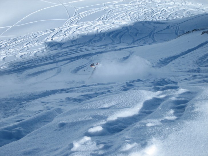 Foto: Andreas Larsson. Åkare: Mattias Kloo.