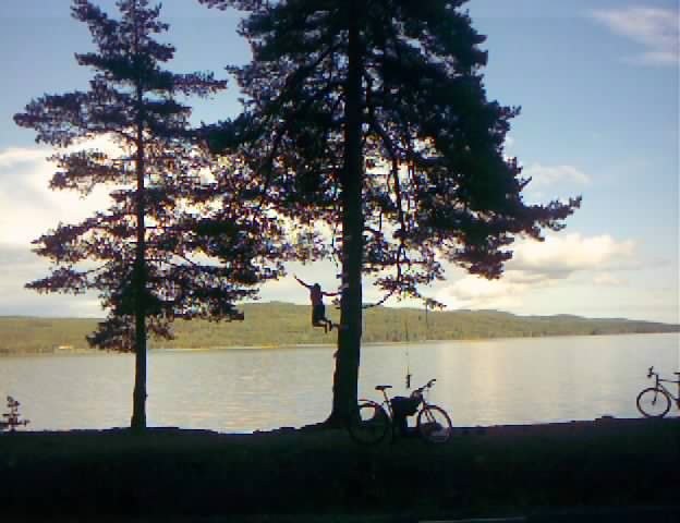 Foto: marcus bertolone. Åkare: fredrik nilsson.