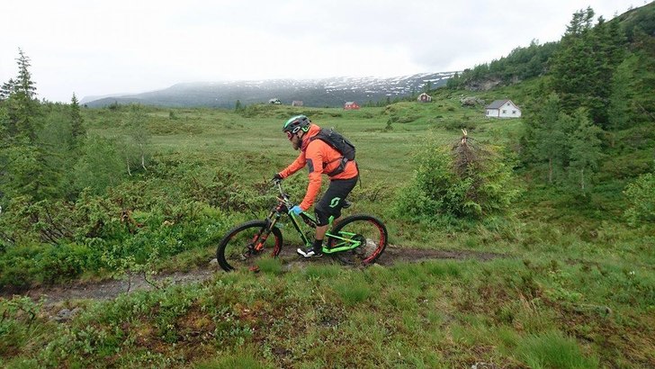 Medan me venter på sykkel...
Hurra! Sykkelsesonge.