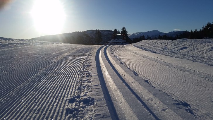 SLIKE SPOR HAR VI IKKJE NO, 
Lite snø i Norge om .