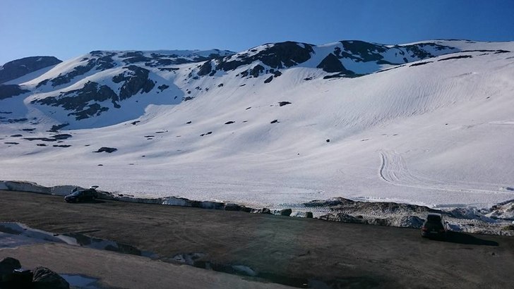 Sol sol sol :)
Alt 2 timer før vi åpner, er de i.