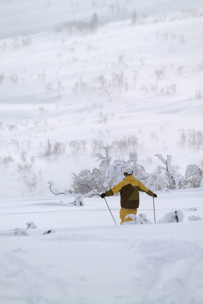 Foto: Joakim Jansson. Åkare: David Nilsson.