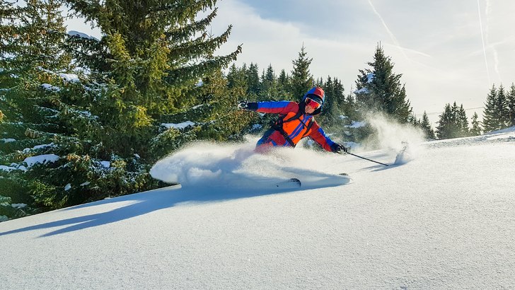 Spåra nysnö mellan trädstammar!.