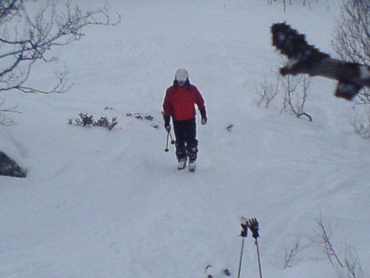 En längtan efter vinter . Foto: Jonas Byding. Åkare: Andreas Cardesjö.