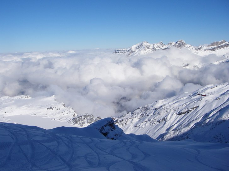 Foto: Malin Suneson.