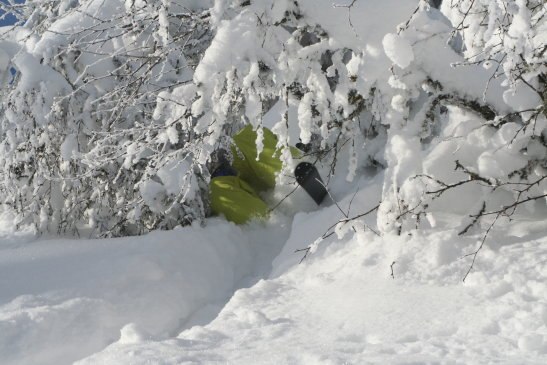 Foto: Mikael Muhr. Åkare: Albin Muhr.