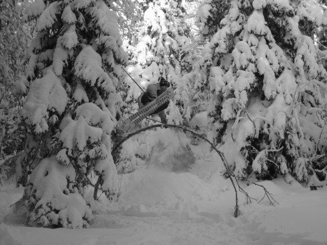 Foto: Kristian Engström. Åkare: Linus Stevrin.