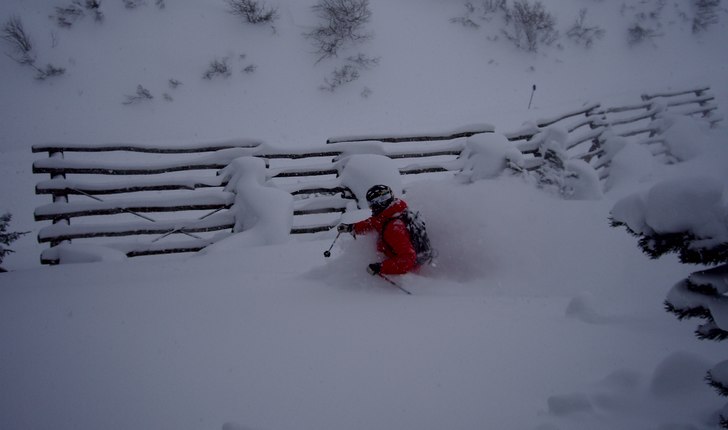 Foto: Robert Hortlund. Åkare: Rikard Fenberg.