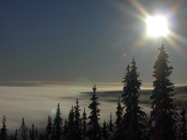 uppe på fjället en härlig morgon. . Foto: Anders Lönn.