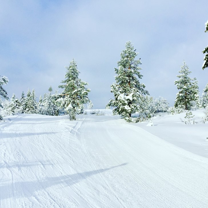 Digg føre i dag❄????⛷
Heisene er åpne fra 10.