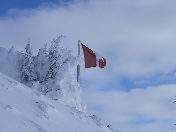 Oooh Canada!. Foto: Emil Persson. Åkare: Oooh Canada.