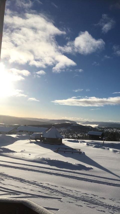 Nysnø
I dag blir det fint 4 cm nysnø, sol og vin.