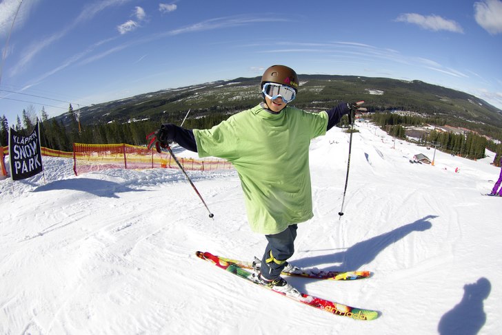 hello! and wellcome too my classroom! :O. Foto: a bear. Åkare: Maximilliam Smith.