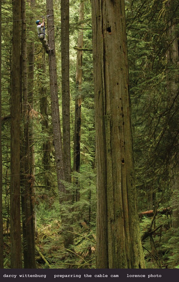 Foto: Sterling Lorence.