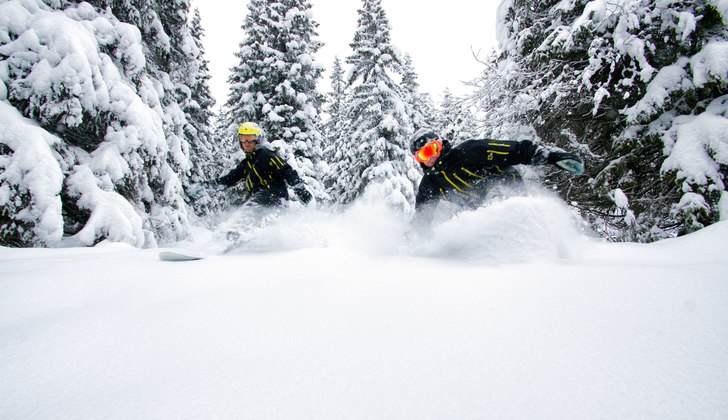 Foto: Anders Aasheim.