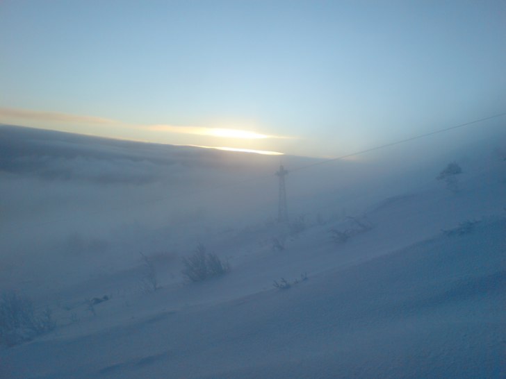 Stighudar upp på Välliste. Foto: Robert Bahrd.