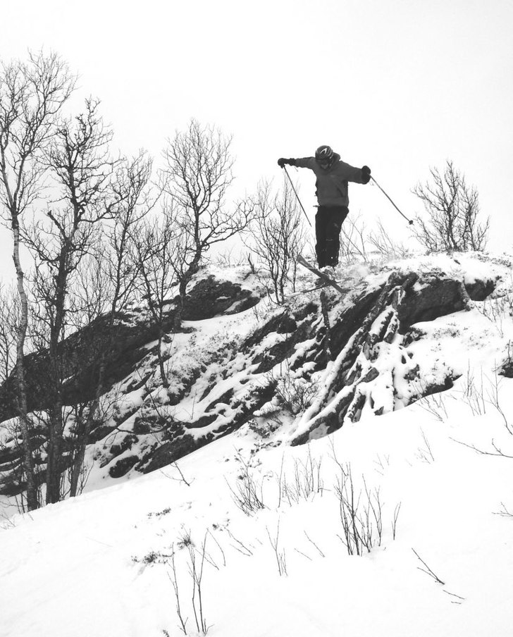 Torrfuraverragokkens återkomst. Foto: Johan Vall. Åkare: Jens Häggström.