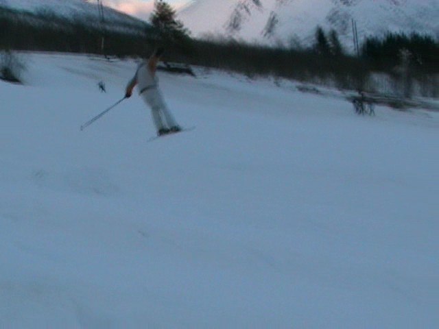 Fin lang 180. Ca 4-5meter lang. Foto: Egil Schistad. Åkare: Arve Schistad.