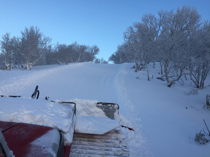 Masse pudder idag
Mye nysnø i utrakket tereng.