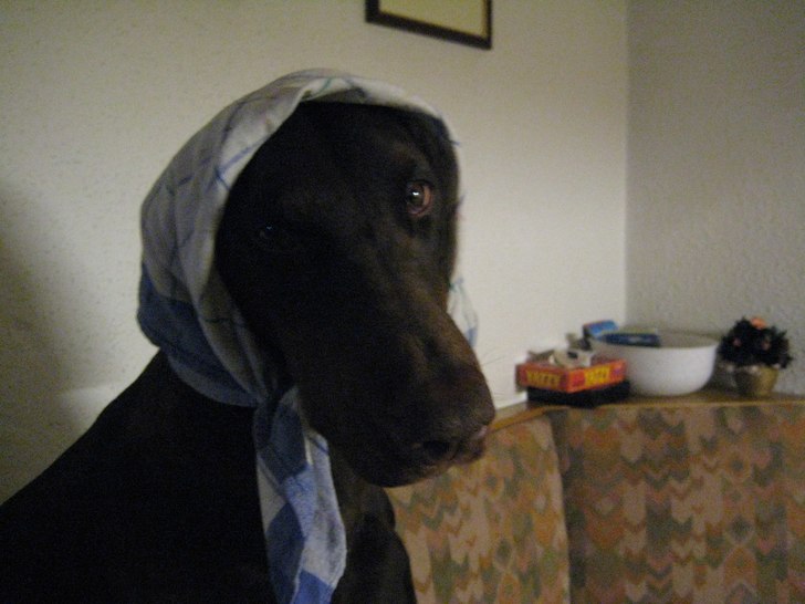 Foto: Sara Ritzén. Åkare: isa albrecht.