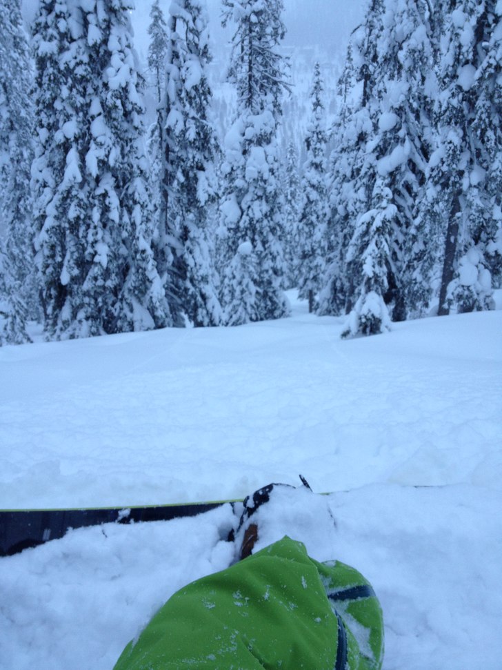 I skogen mot Hundfjällsgraven. Magiskt bra!. Foto: Magnus Scherman. Åkare: Magnus Scherman.