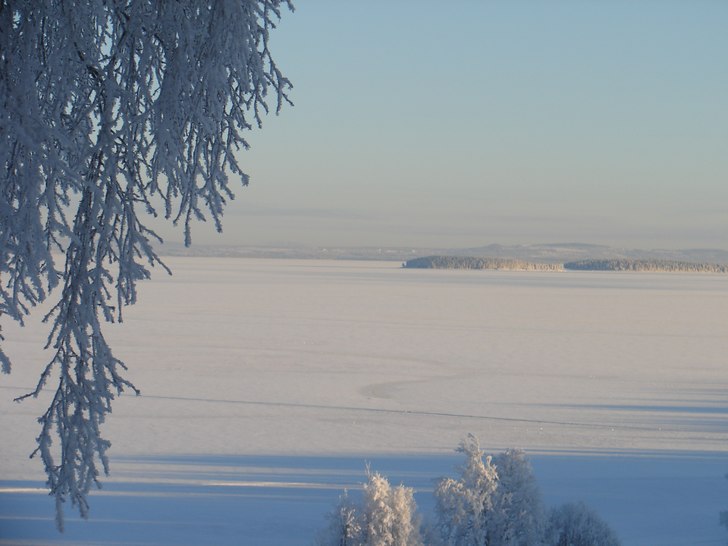 Foto: Carolina Ilestam.