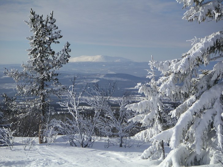 Foto: Andrea Elmelid.