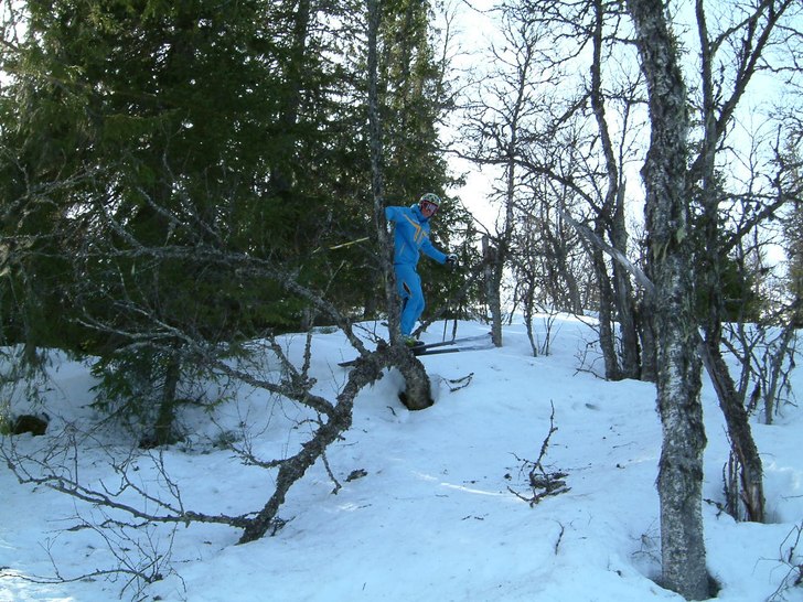Foto: Bjarne Jönsson. Åkare: Erik Blomqvist.