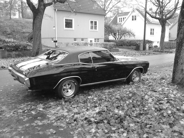 min chevelle. Foto: sebastian forsen.
