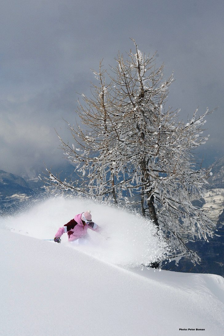 Foto: Peter Boman. Åkare: Giulia Monego.