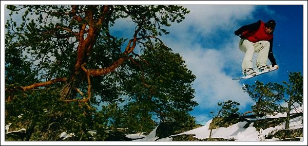 Foto: Mats Honkamaa. Åkare: Roten.