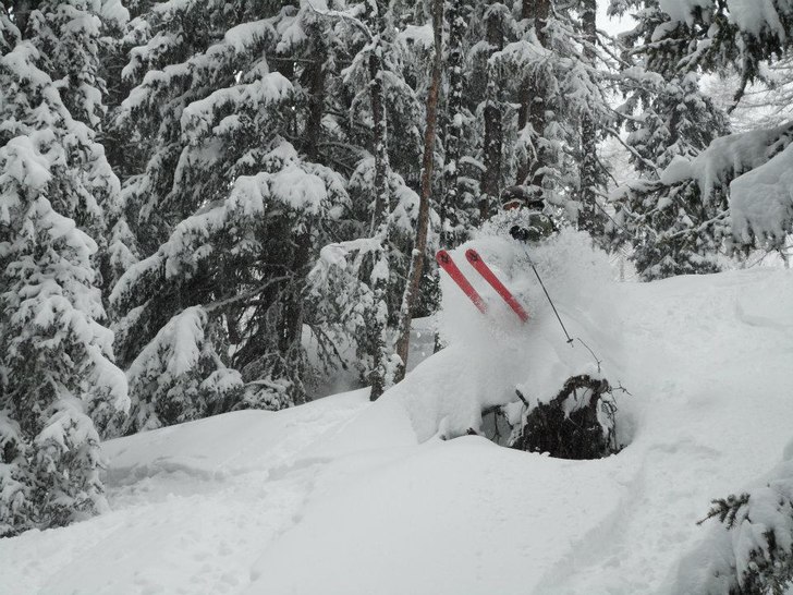 Foto: Tom Telegin. Åkare: Carl Heigard.