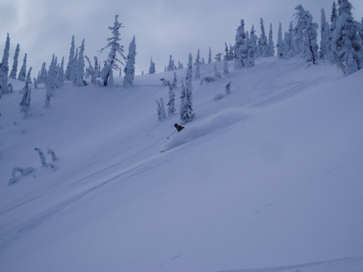 Foto: Stina Stenquist. Åkare: Ulf Nordstrand.