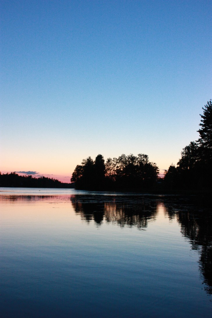 Foto: Ronnie Johansson.