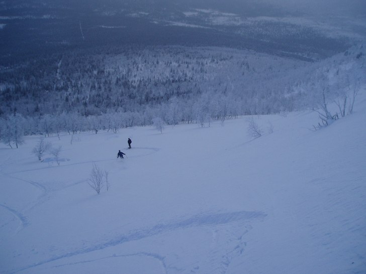 Kittel. Foto: Martin Lannsjö. Åkare: Christer Kempe.