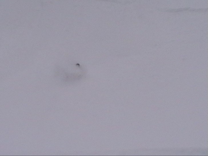 Foto: Liselotte . Åkare: Anders.