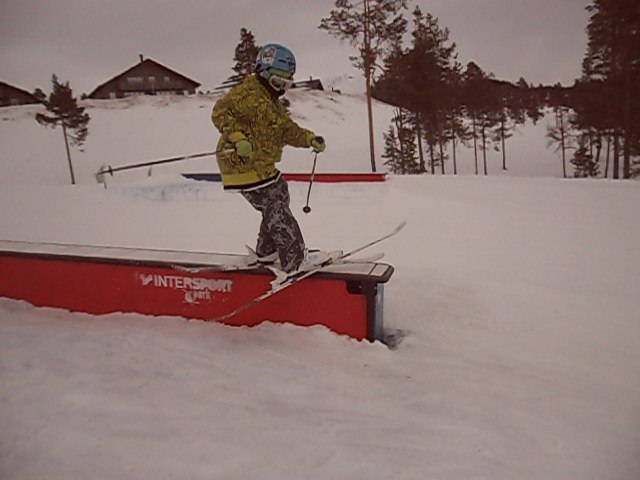 Åkare: Axel Nääs.