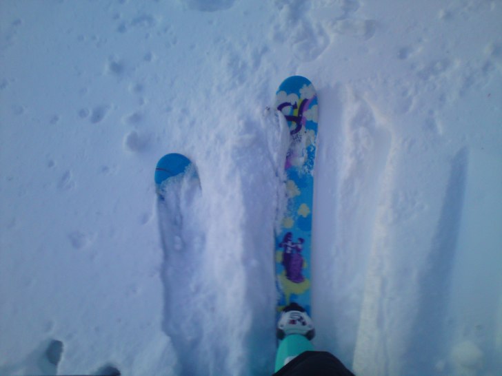 Puder är nästan lika kul som park..Nästan!. Åkare: Victoria Nilsson.