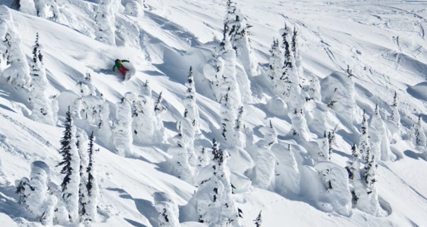 Foto: Nils Nilsson. Åkare: Robert Jarlenäs.