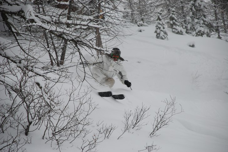 Ny fin härlig snö i skogen på Klein sidan. Foto: Martin Vikström. Åkare: Adam Jonsson.