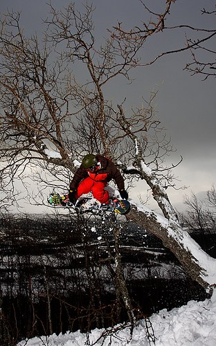 trädåk
roadtrip08. Foto: Lucas Nilsson. Åkare: Viktor Pettersson.