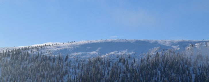 Foto: Henrik Andersson.