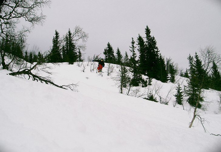 Foto: Marius Krogh. Åkare: Idar Skauby.