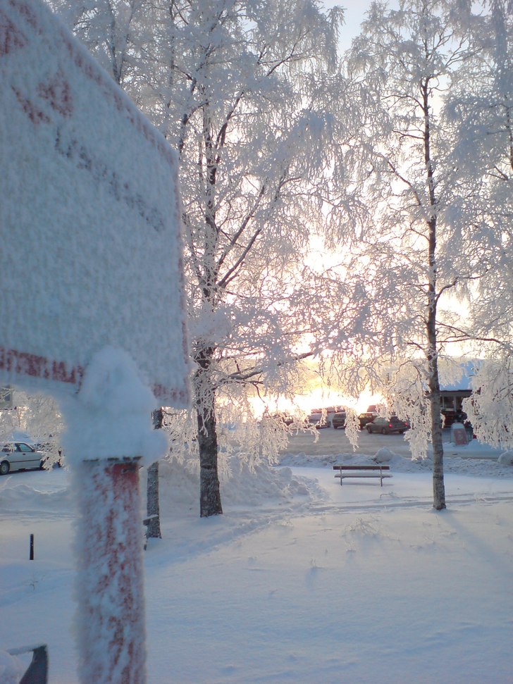 Foto: Karl Samuelsson.