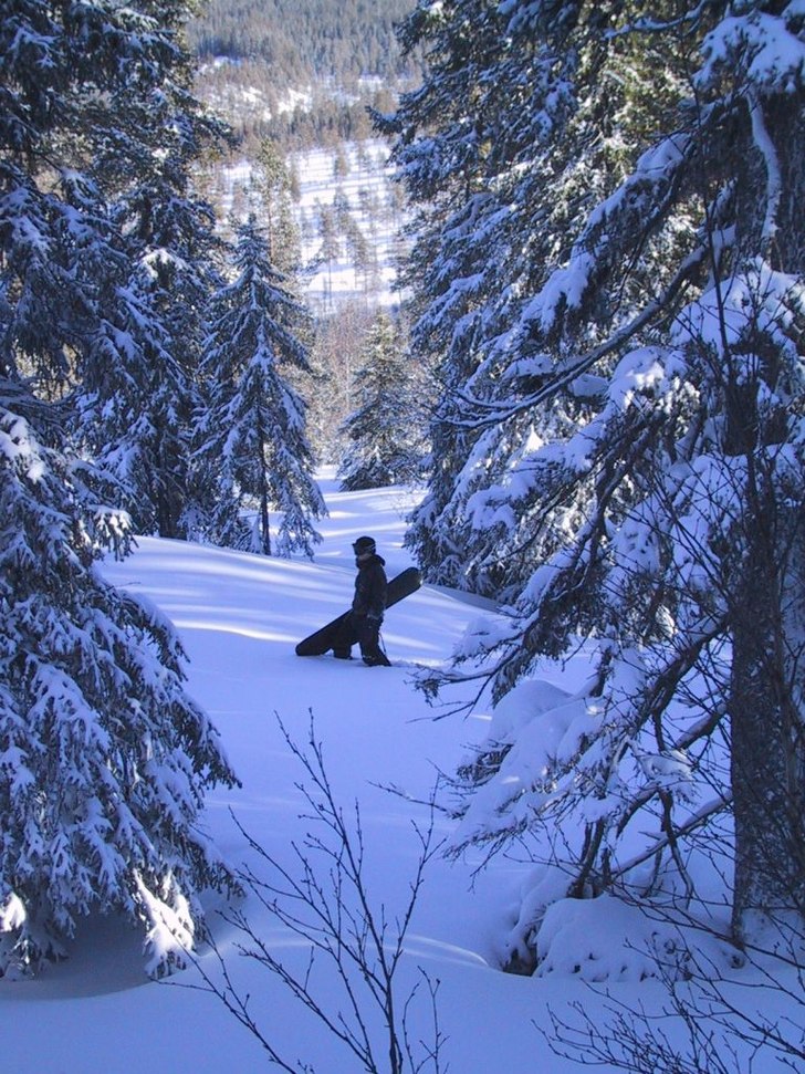 en fin dag i skogen ... Foto: andreas blomberg. Åkare: martin blomberg.