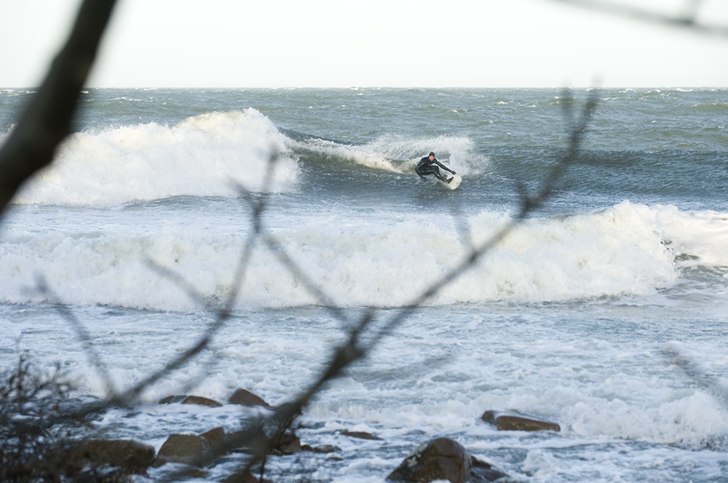 Foto: Jesper Molin. Åkare: Jakob Andersson.